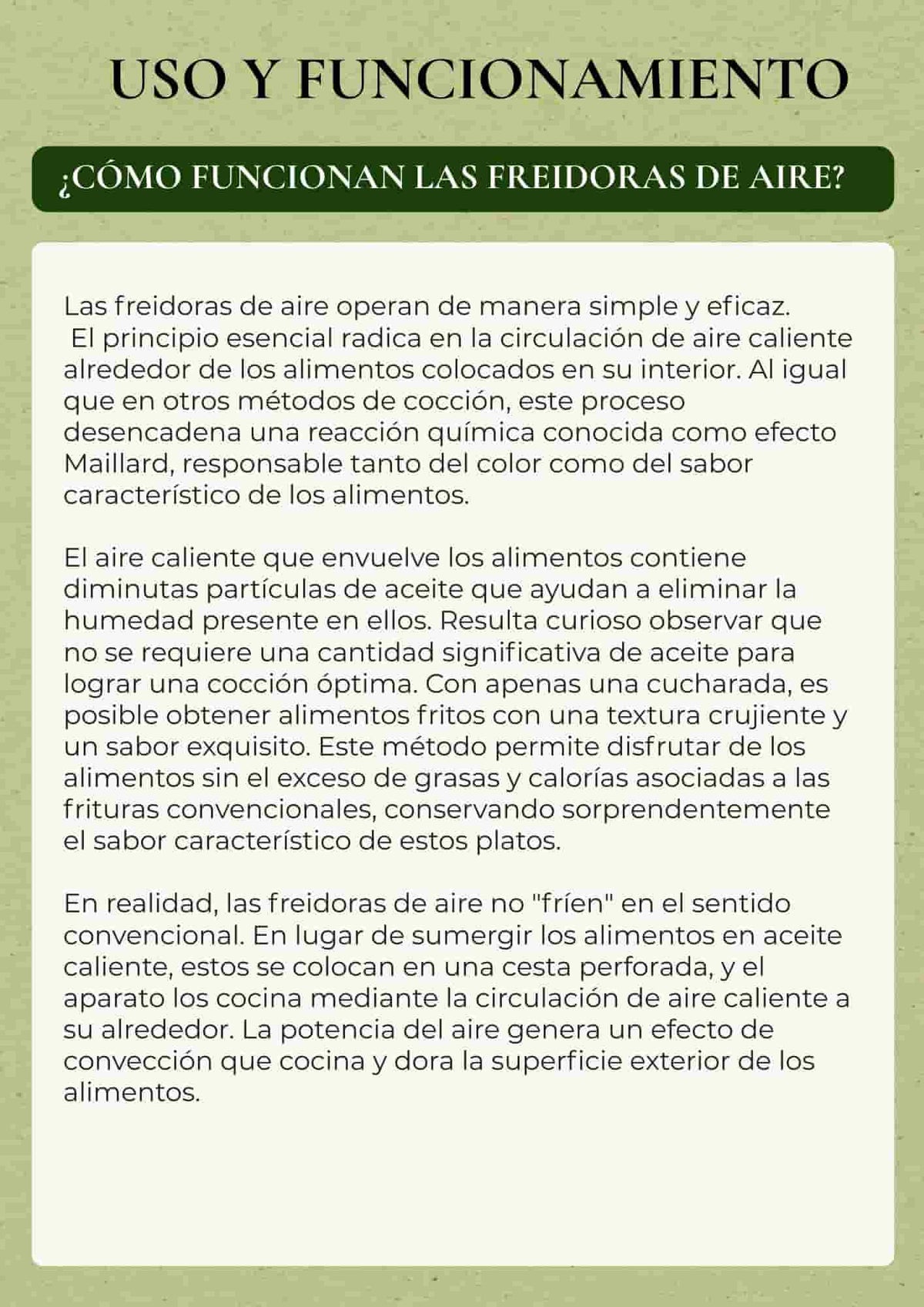 Los secretos de la Air Fryer