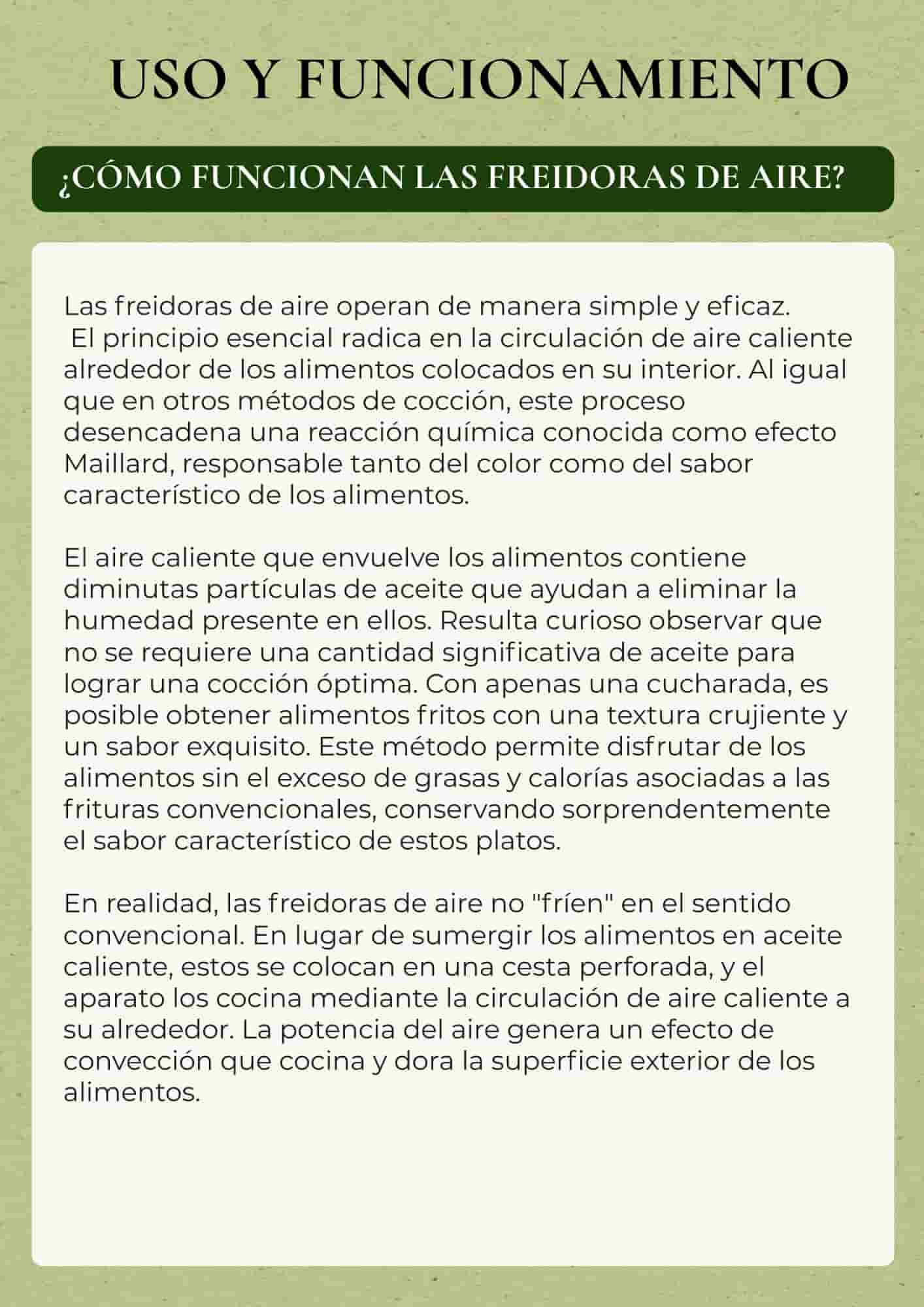 Los secretos de la Air Fryer